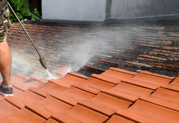 Best Roof Power Washing Services  in Thomasville, NC