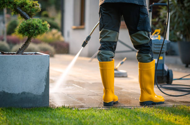 Best Roof Pressure Washing  in Thomasville, NC